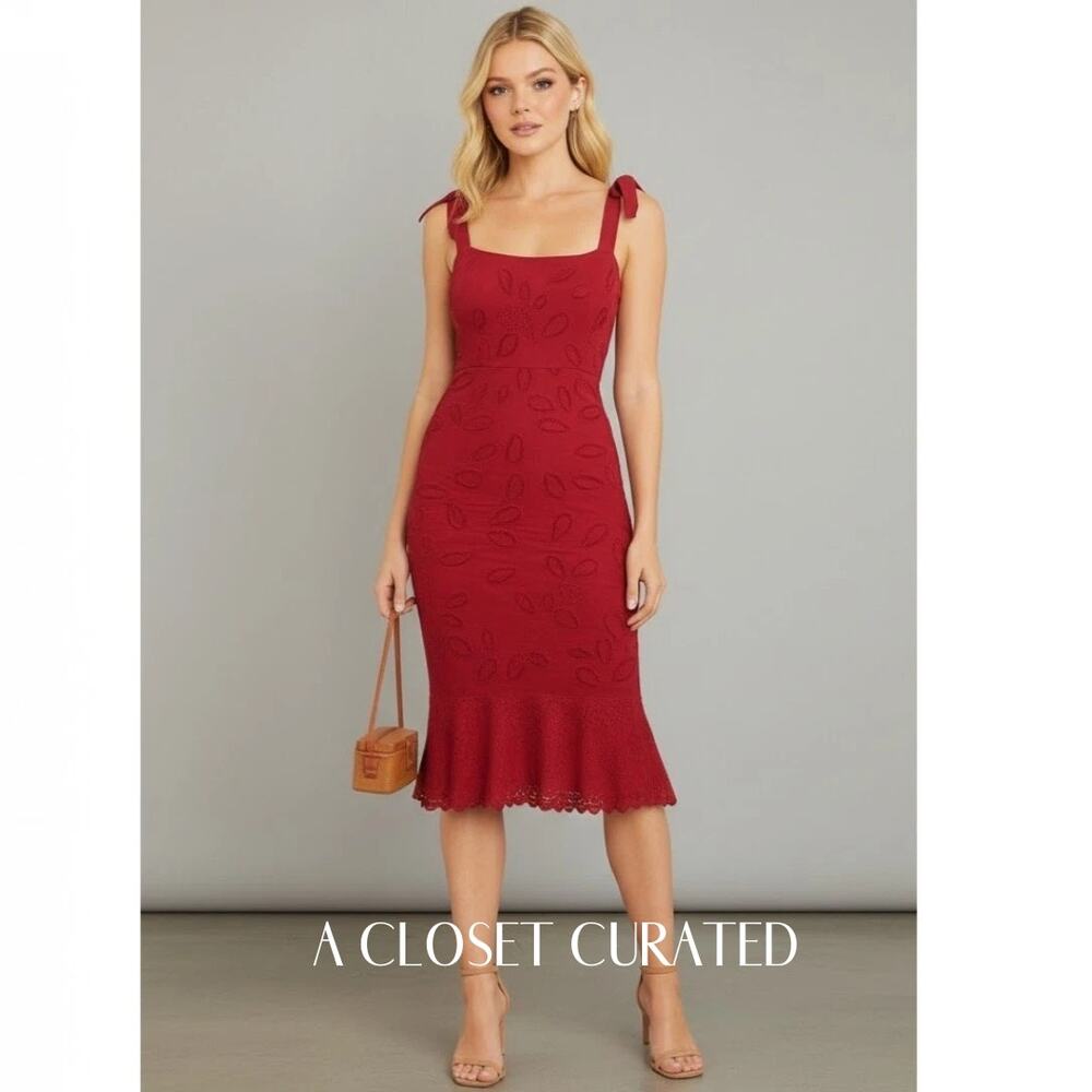 Saloni Dress 4 NEW